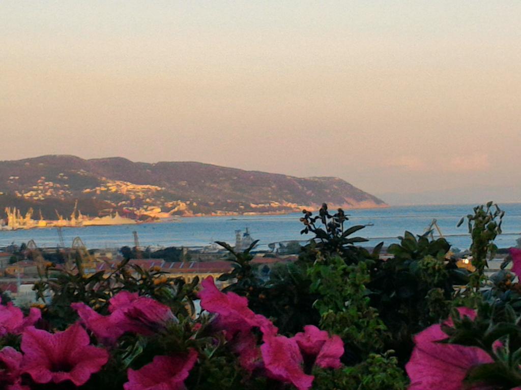Dreams Guest House La Spezia Eksteriør billede